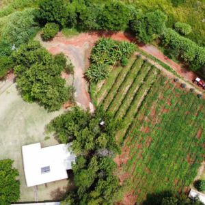Fazenda Q 10
